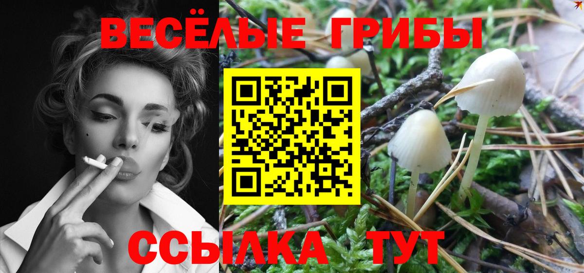 Псилоцибиновые грибы MAGIC MUSHROOMS Сарапул